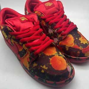Nike SB x‎ The Wizard of Oz Dunk Low Poppy Field FZ1291 600 Limited Men 10.5 NWB